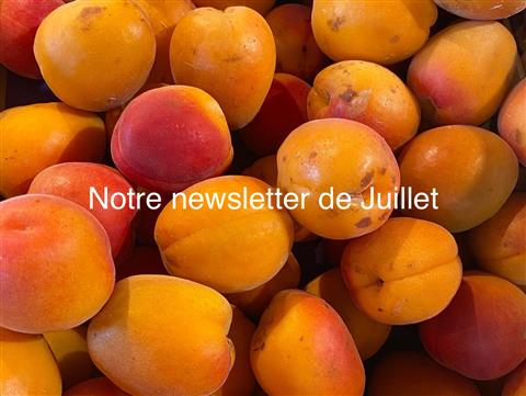 Newsletter Biocoop Sainte-Victoire et Trets - Juillet 2022