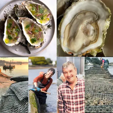 Dégustation exceptionnelle Vin & Huîtres YVON (Morbihan)